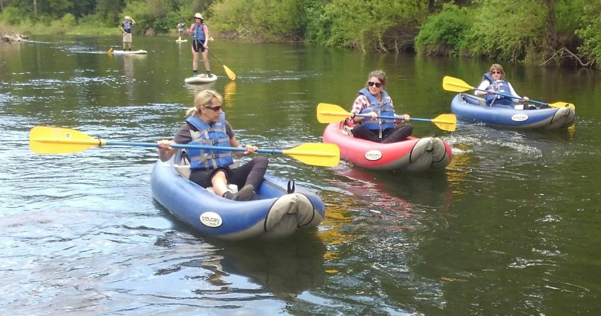 Kayak Guided trip and lesson