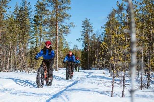 Winter eFatbike Tour in Snowy Forest