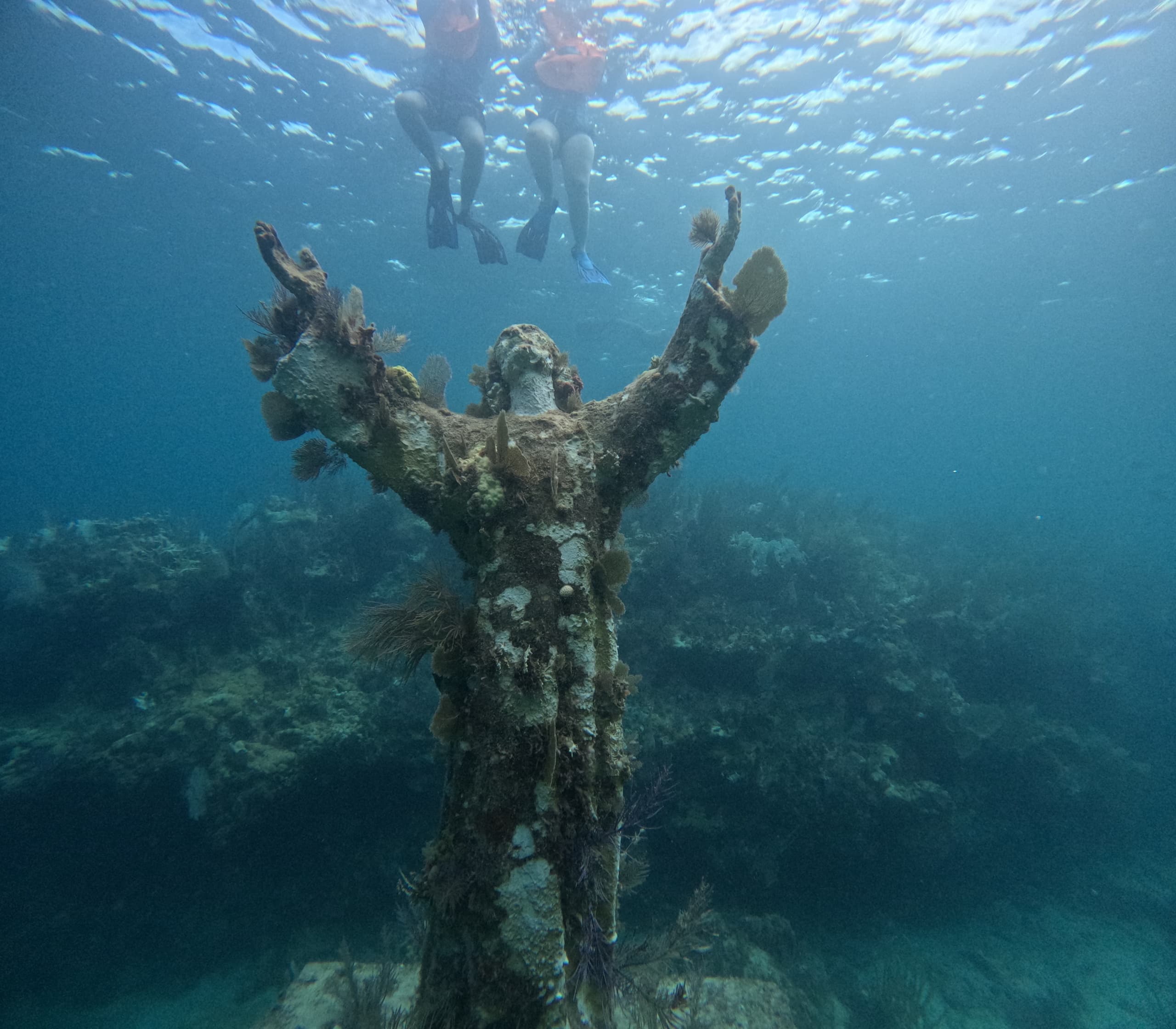 Two Reef Snorkel Only Tour - All Snorkel Equipment Included!