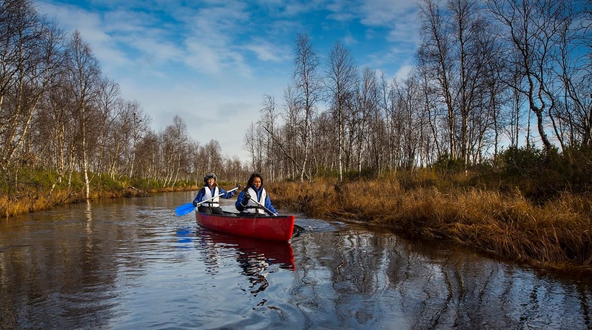 Guided Canoeing Excursion: Tankajoki
