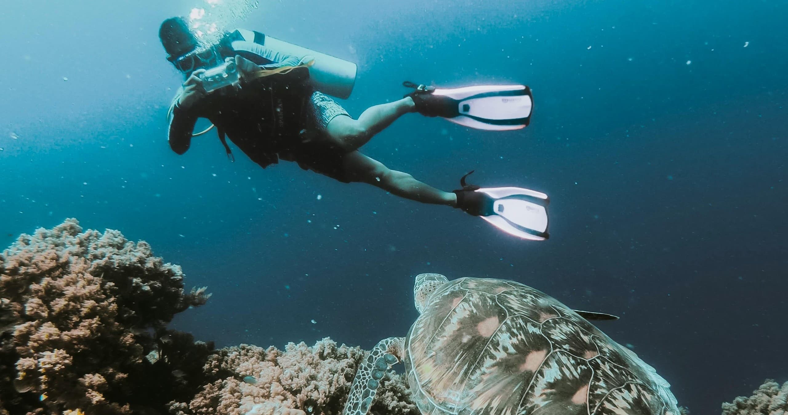 Sea Fox 4 Hour Dive
