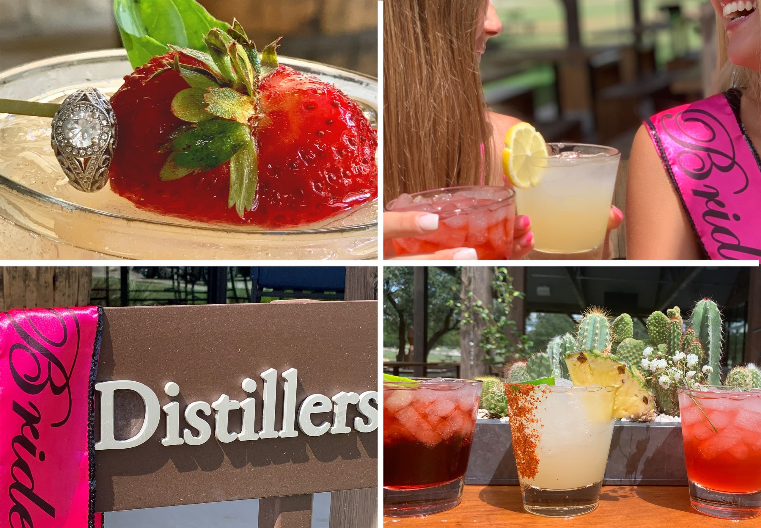 Taste & Tour:  Texas Hill Country