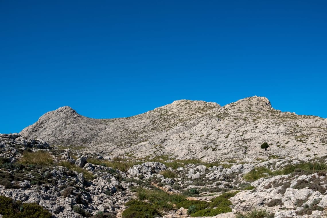 Puig de Massanella