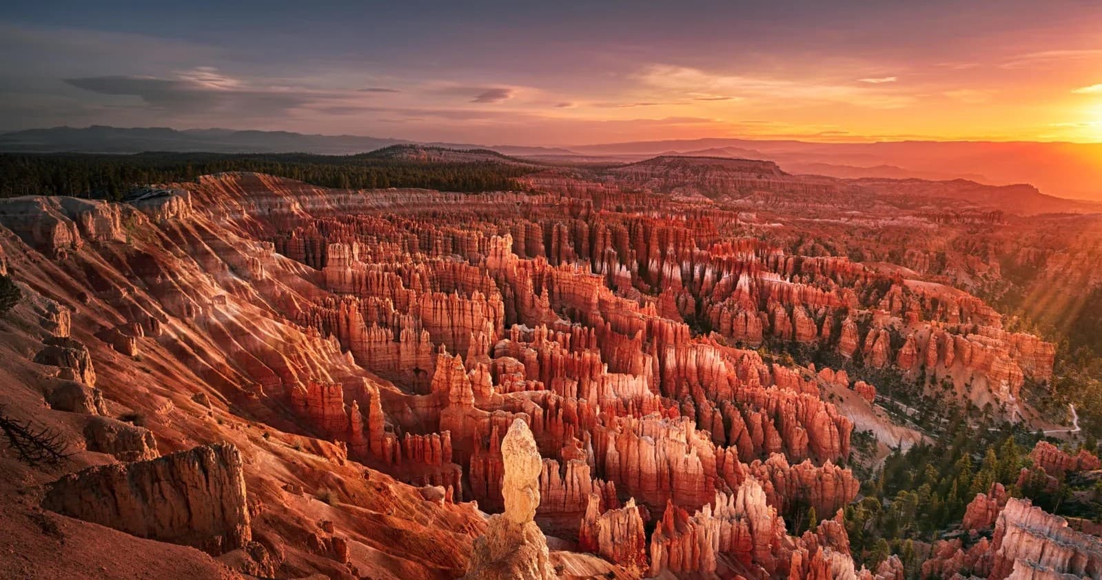 Zion or Bryce Canyon National Park Tours