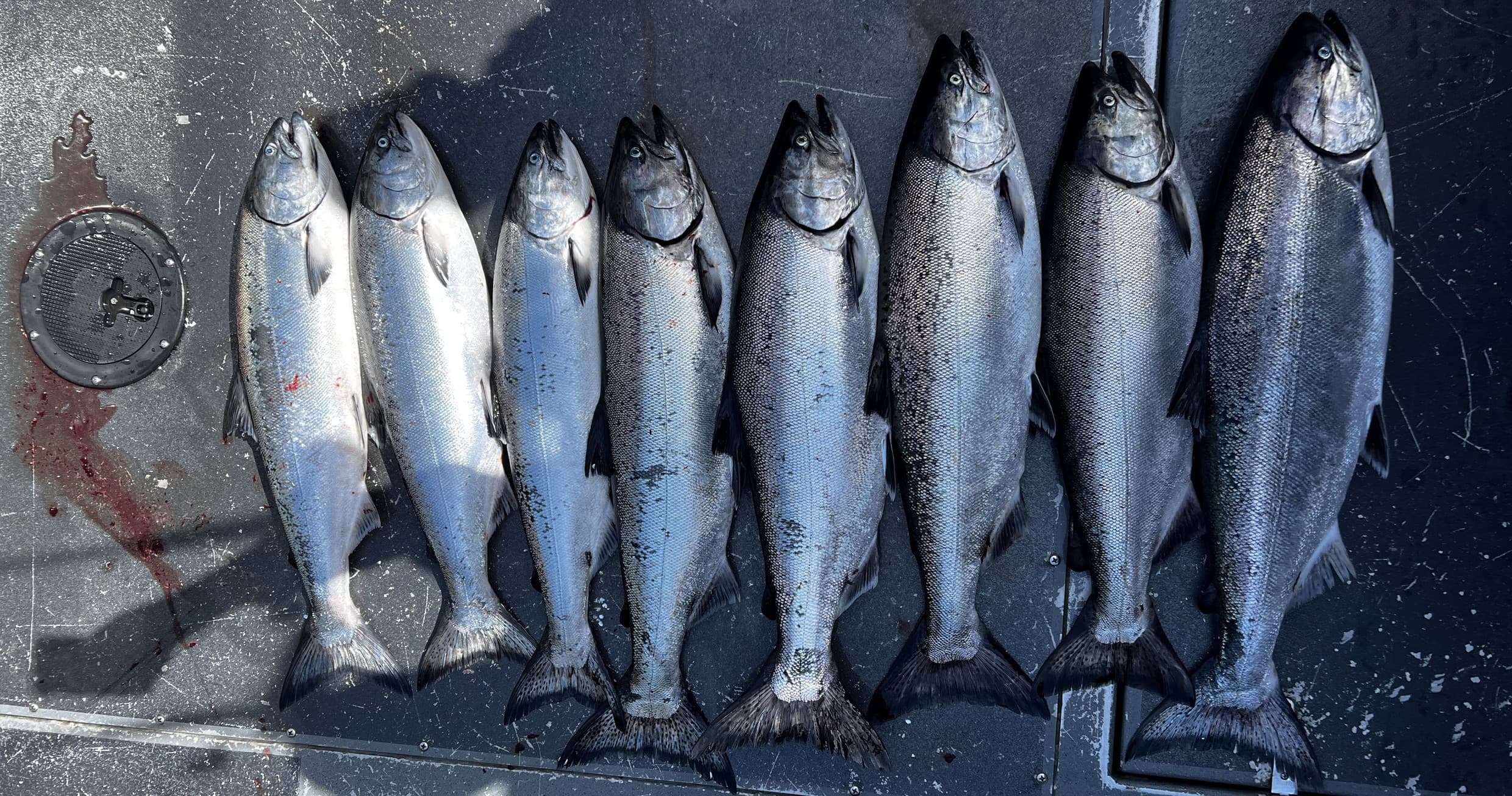 6-Hour Salmon Fishing