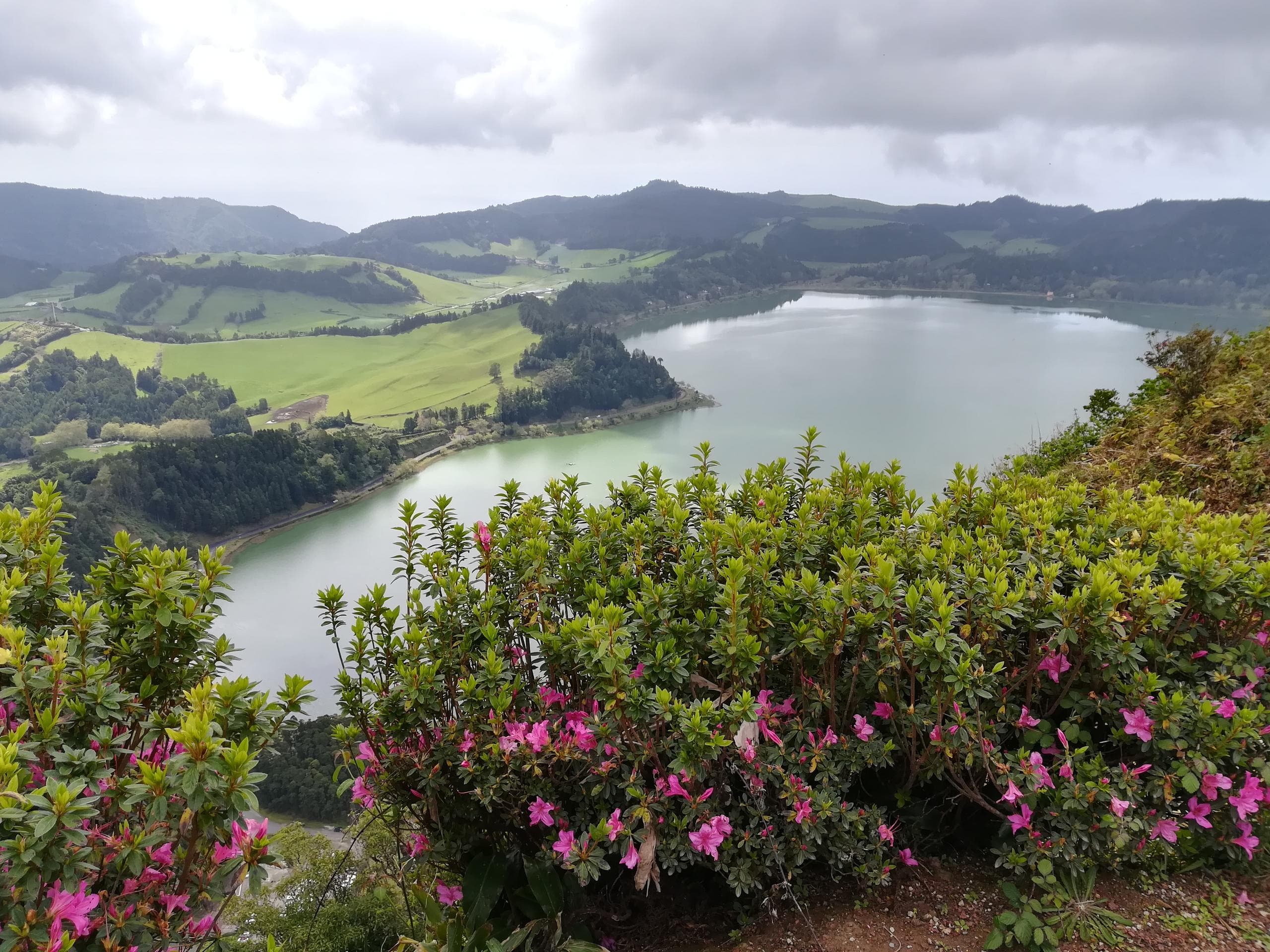 Van tour - Furnas (full day)