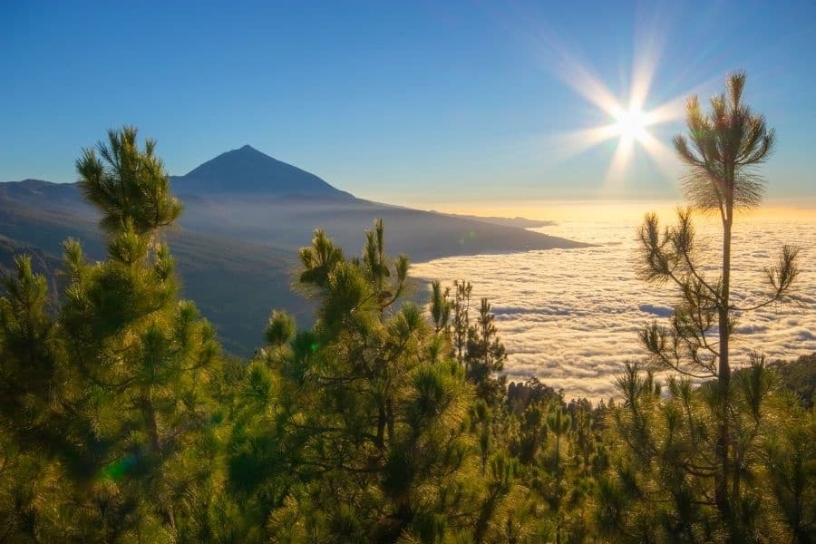 Teide National Park