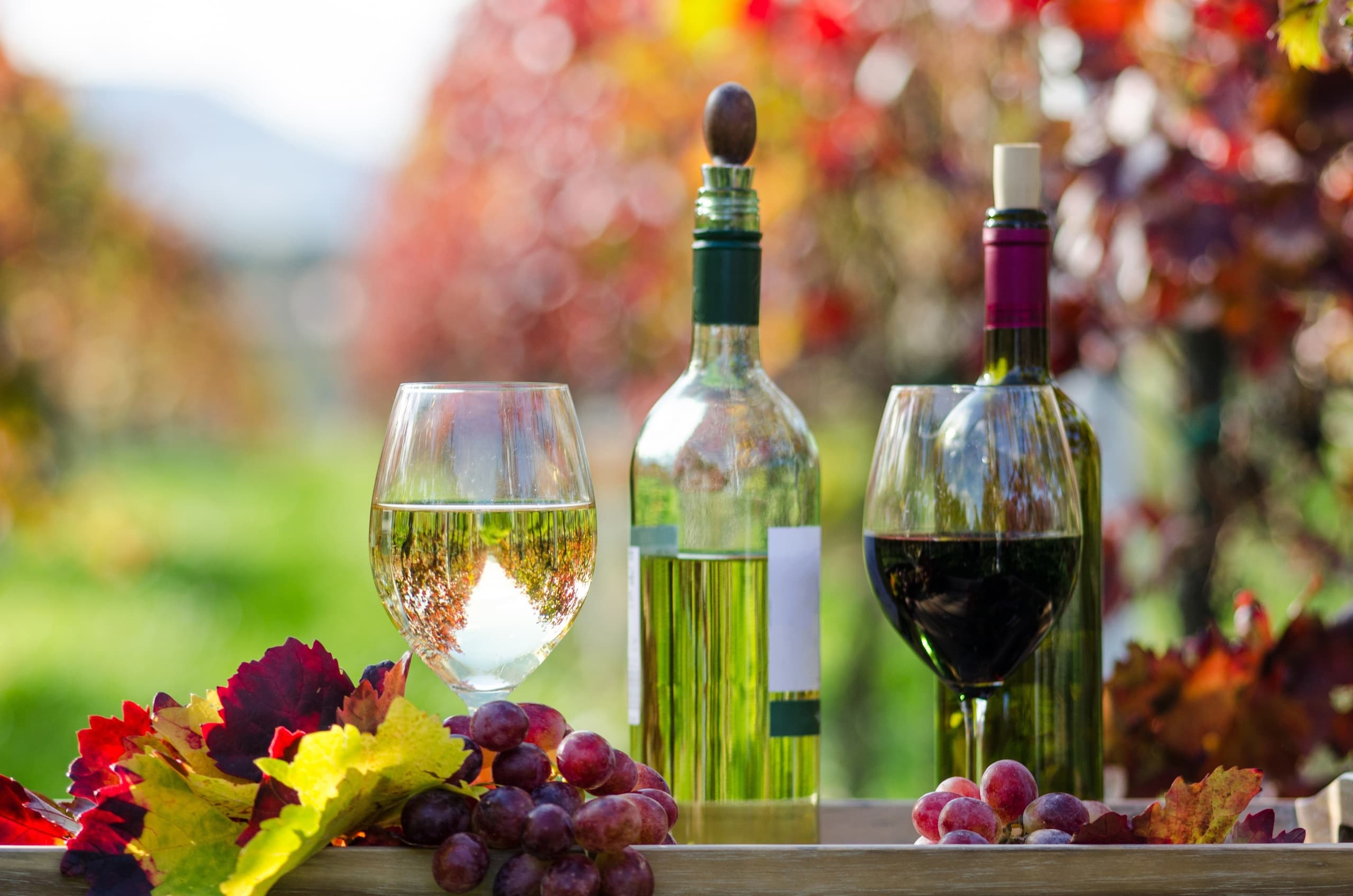 Madeira Wine Excursion - Visit To Vineyard With Wine Tasting