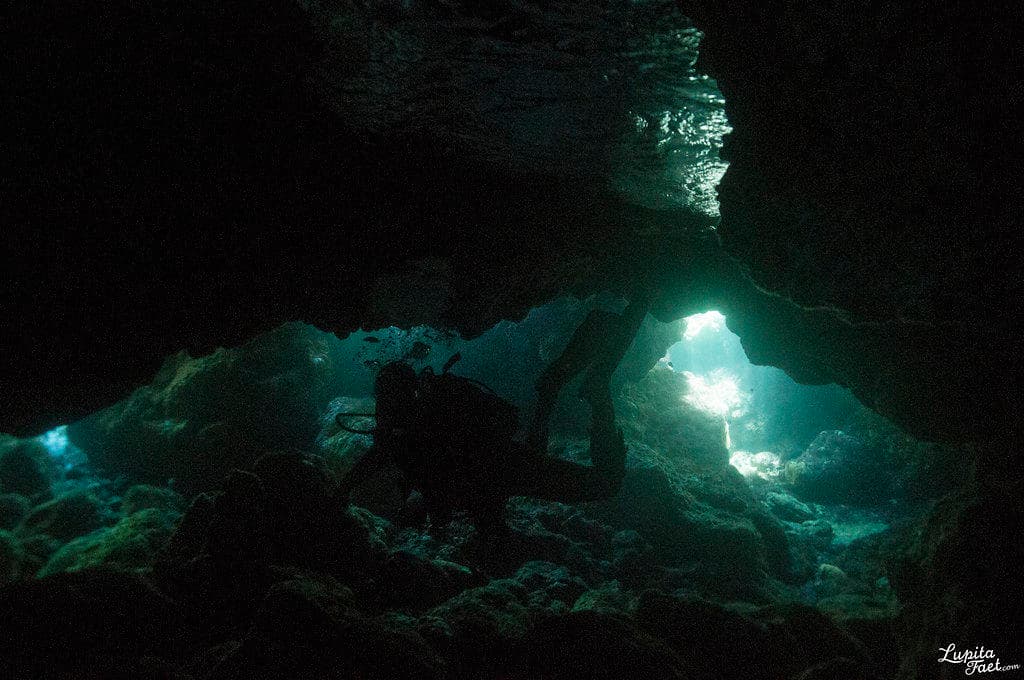 Curso Buceo Nocturno y Visibilidad Limitada