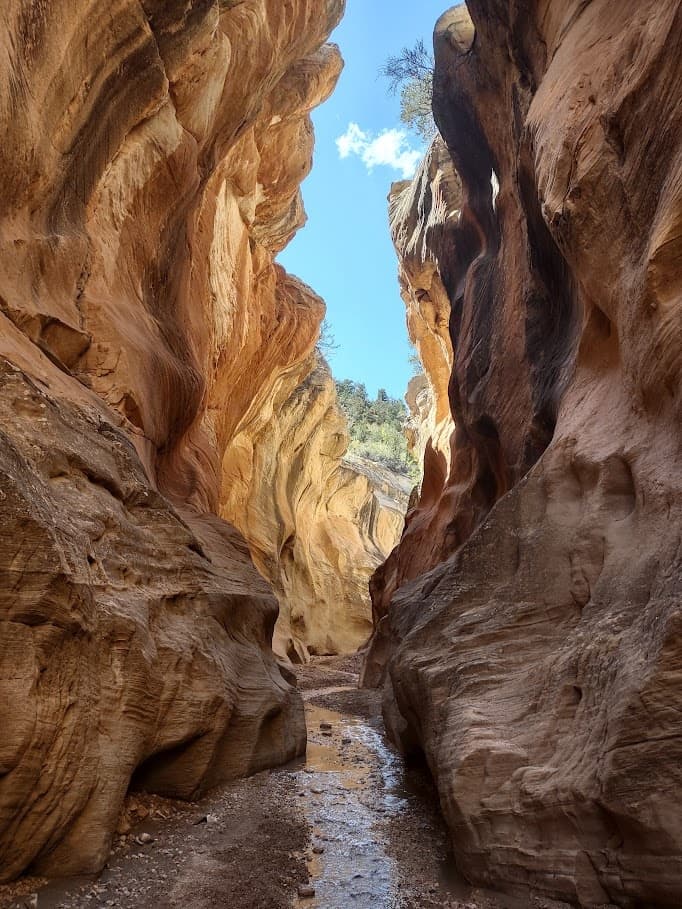 Hiking: Utah’s Famous Slot Canyons (4 Hour)