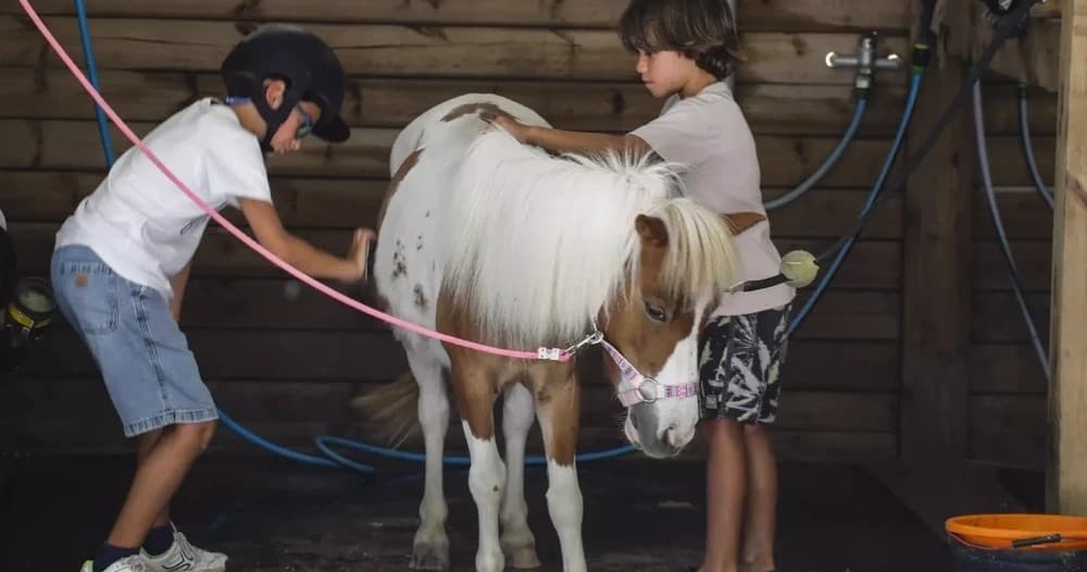 Pony Ride