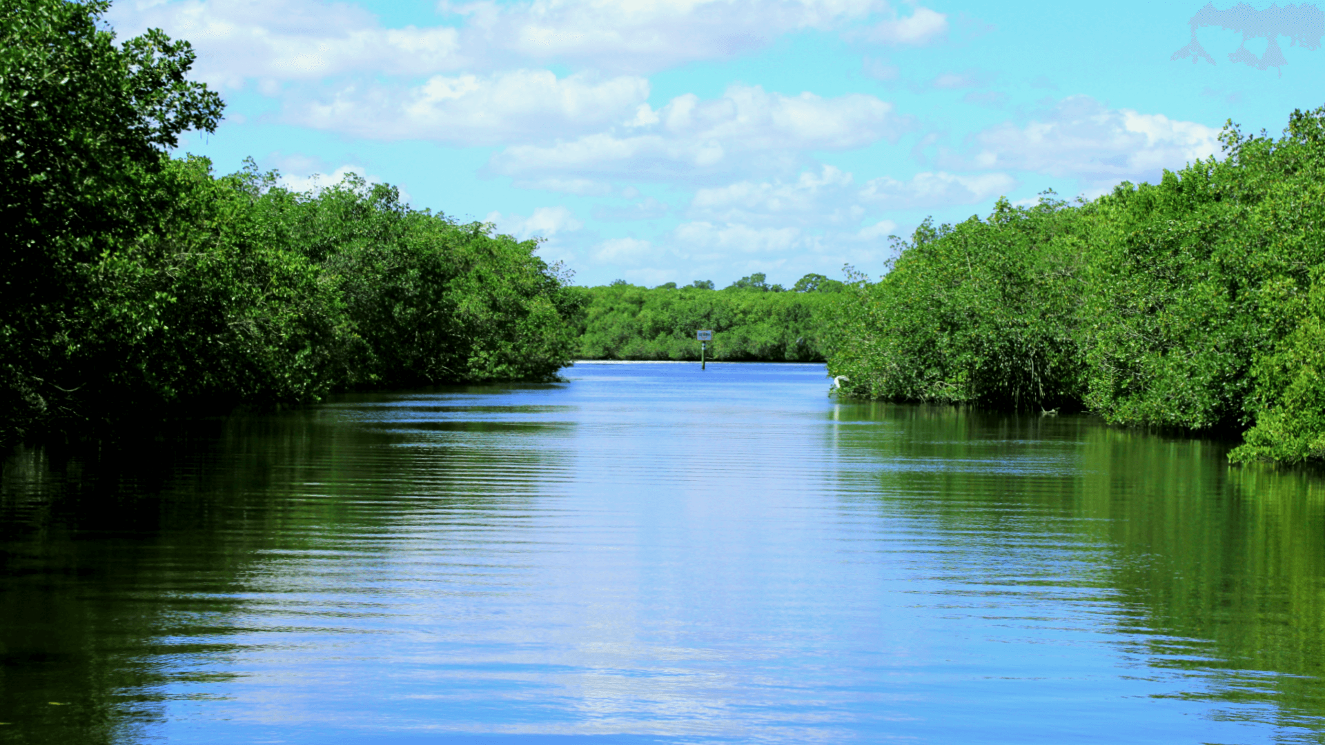 Private St. Lucie River Cruise
