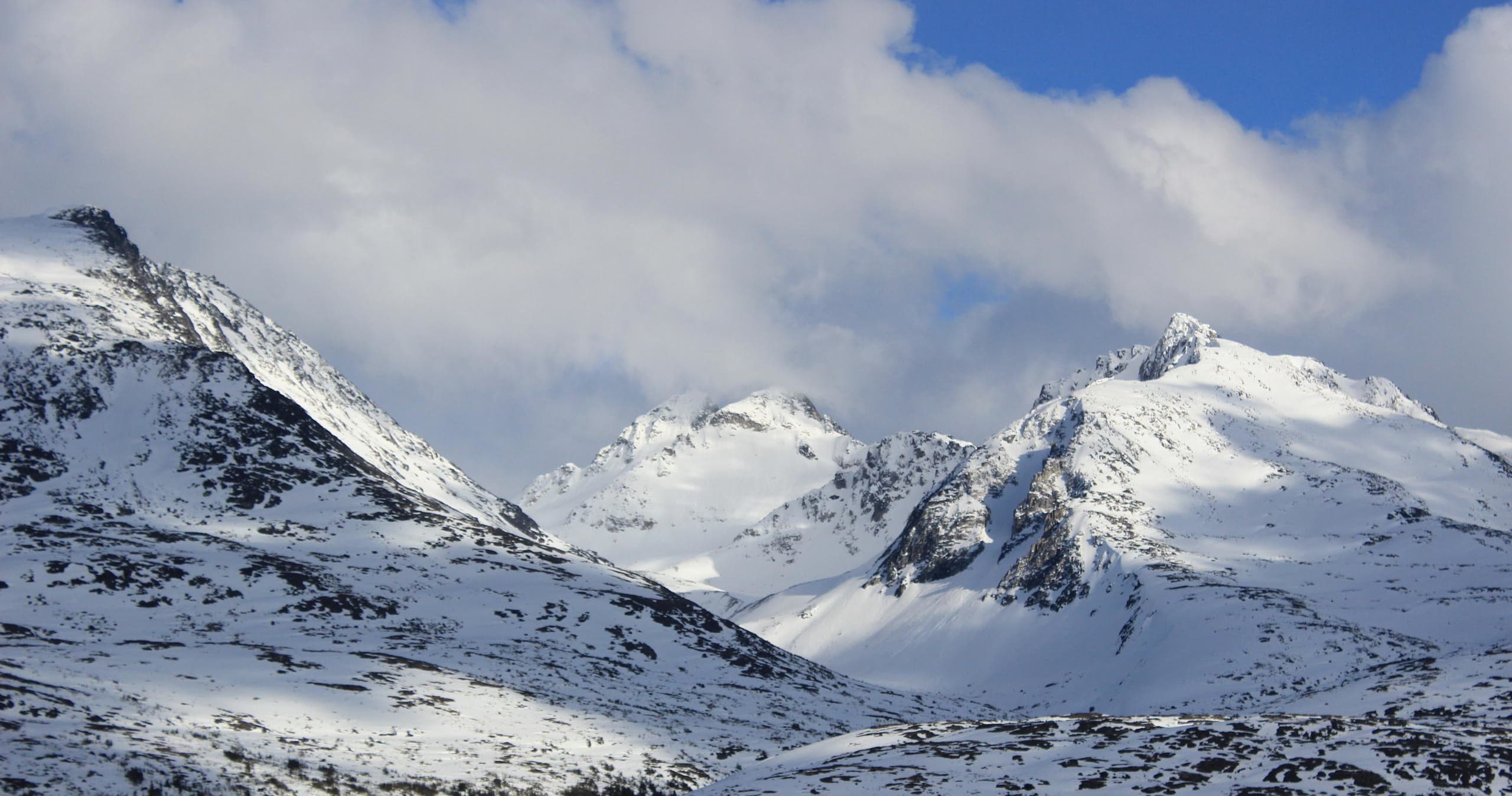 Seek the Summit
