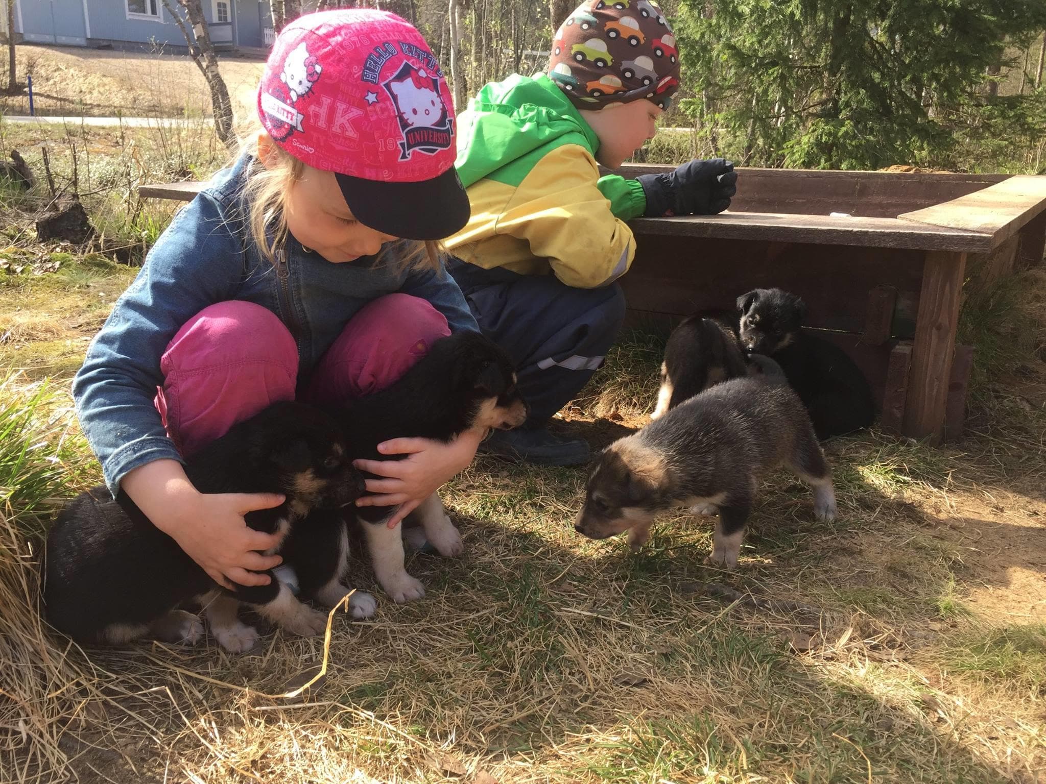 1-Hour Farm Visit