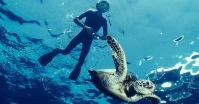 Paddle Snorkel Tour
