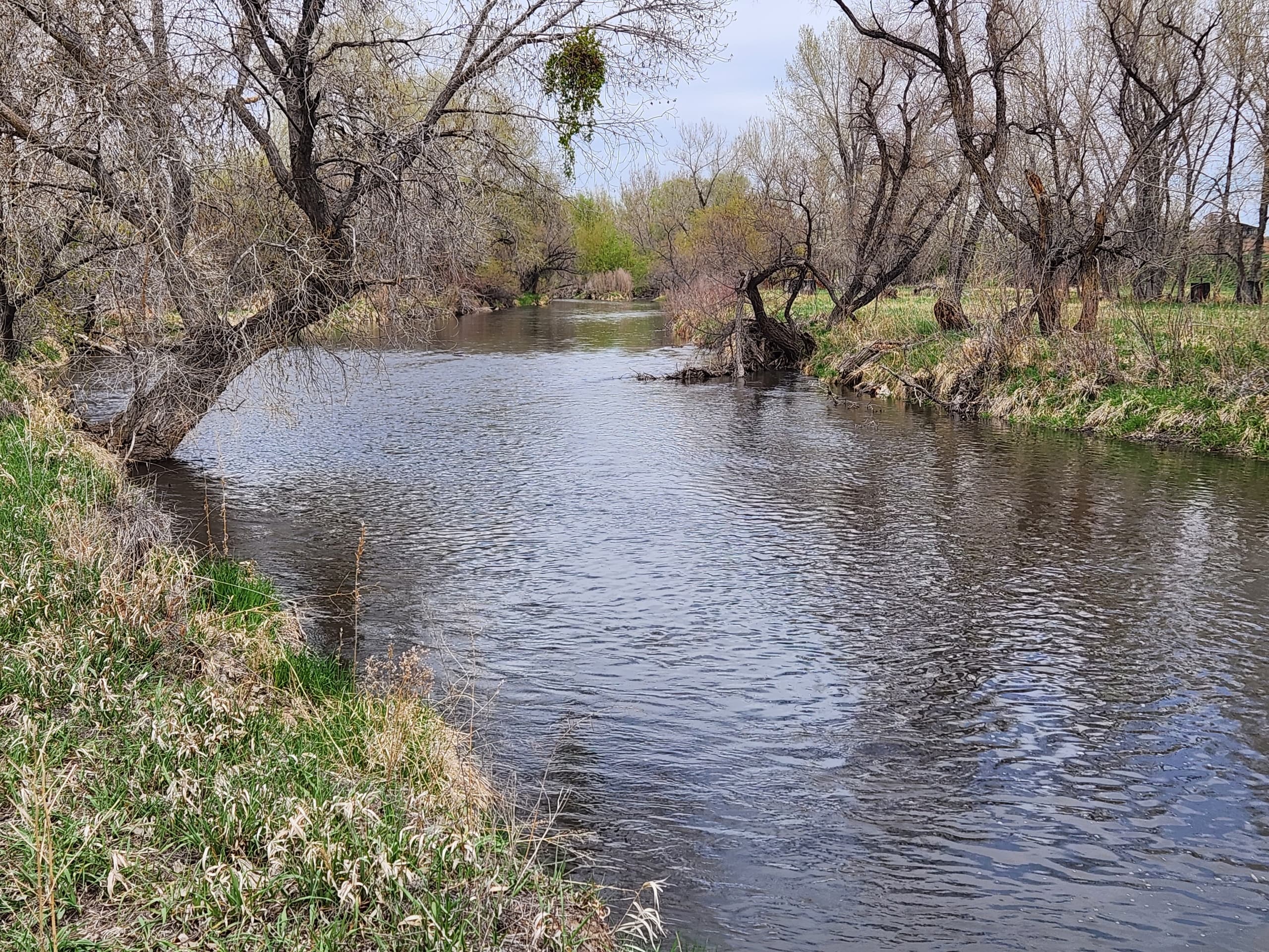 East Poudre River, Fort Collins (Walking Tour)