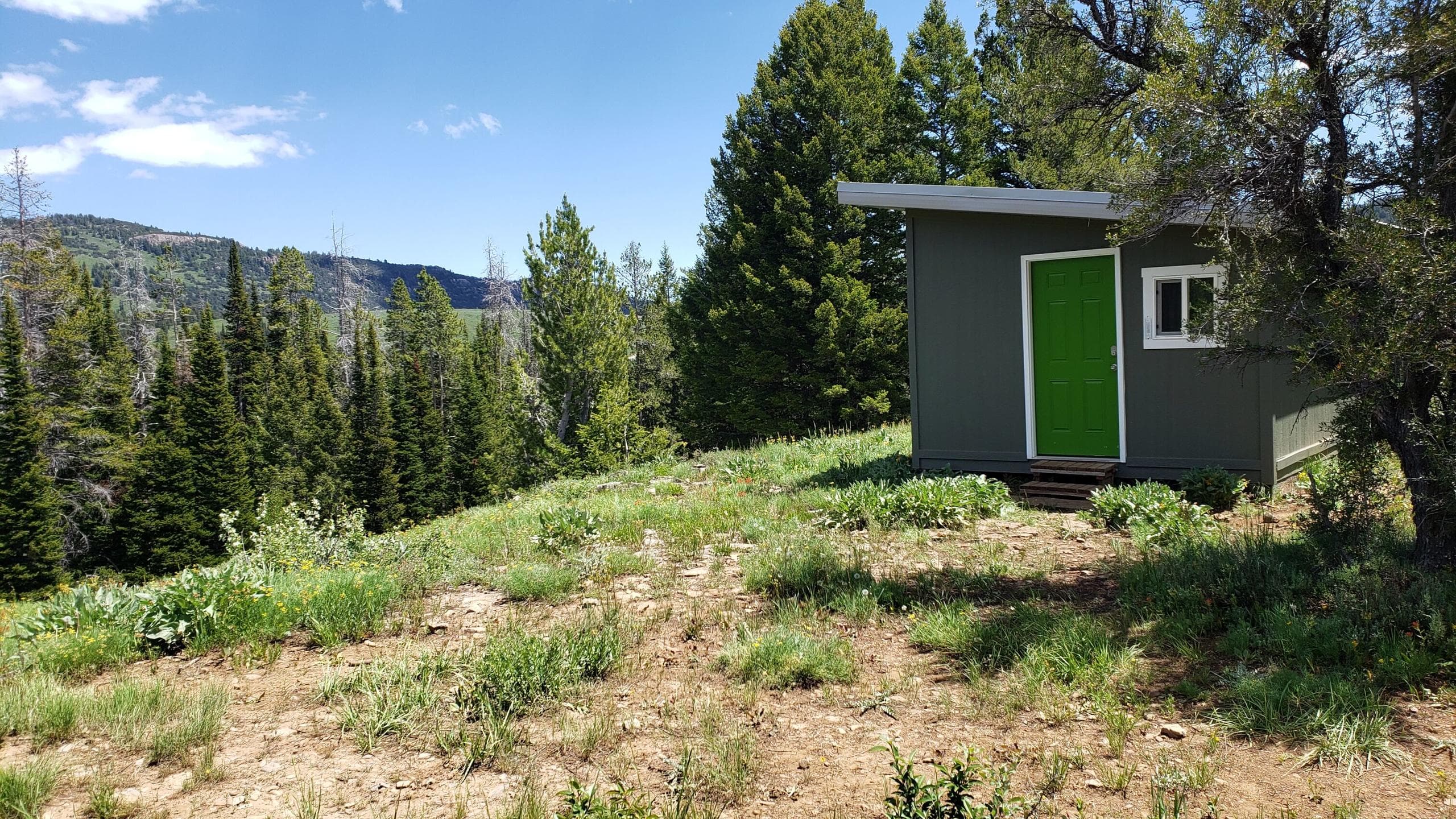 Amazon Hollow Cabin 1