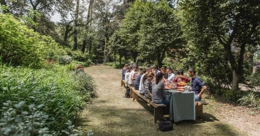 Douro Winery Lunch - From Vinho Verde to Douro