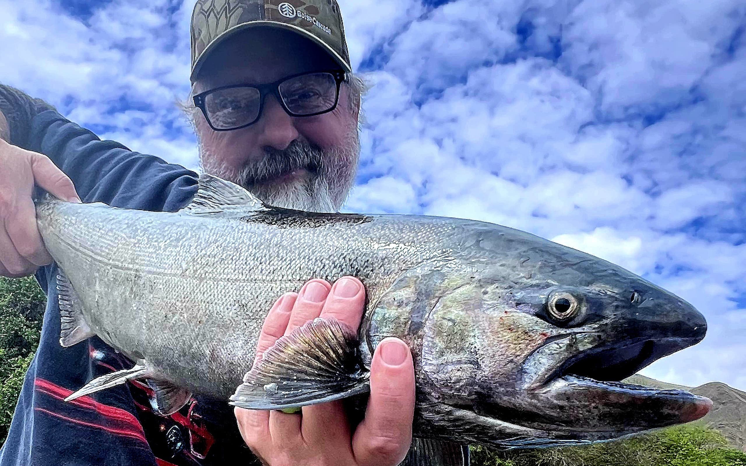 The Morning Bite!