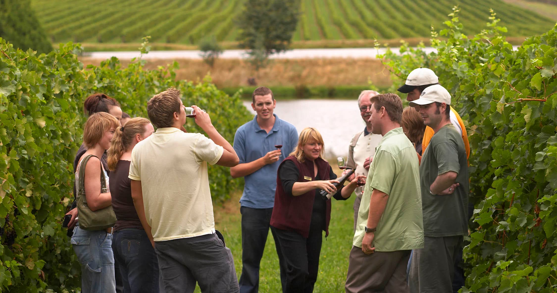 Tour de vinos Rioja: 2 bodegas desde San Sebastián