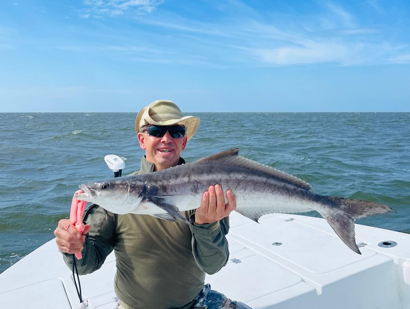 Cobia Fishing