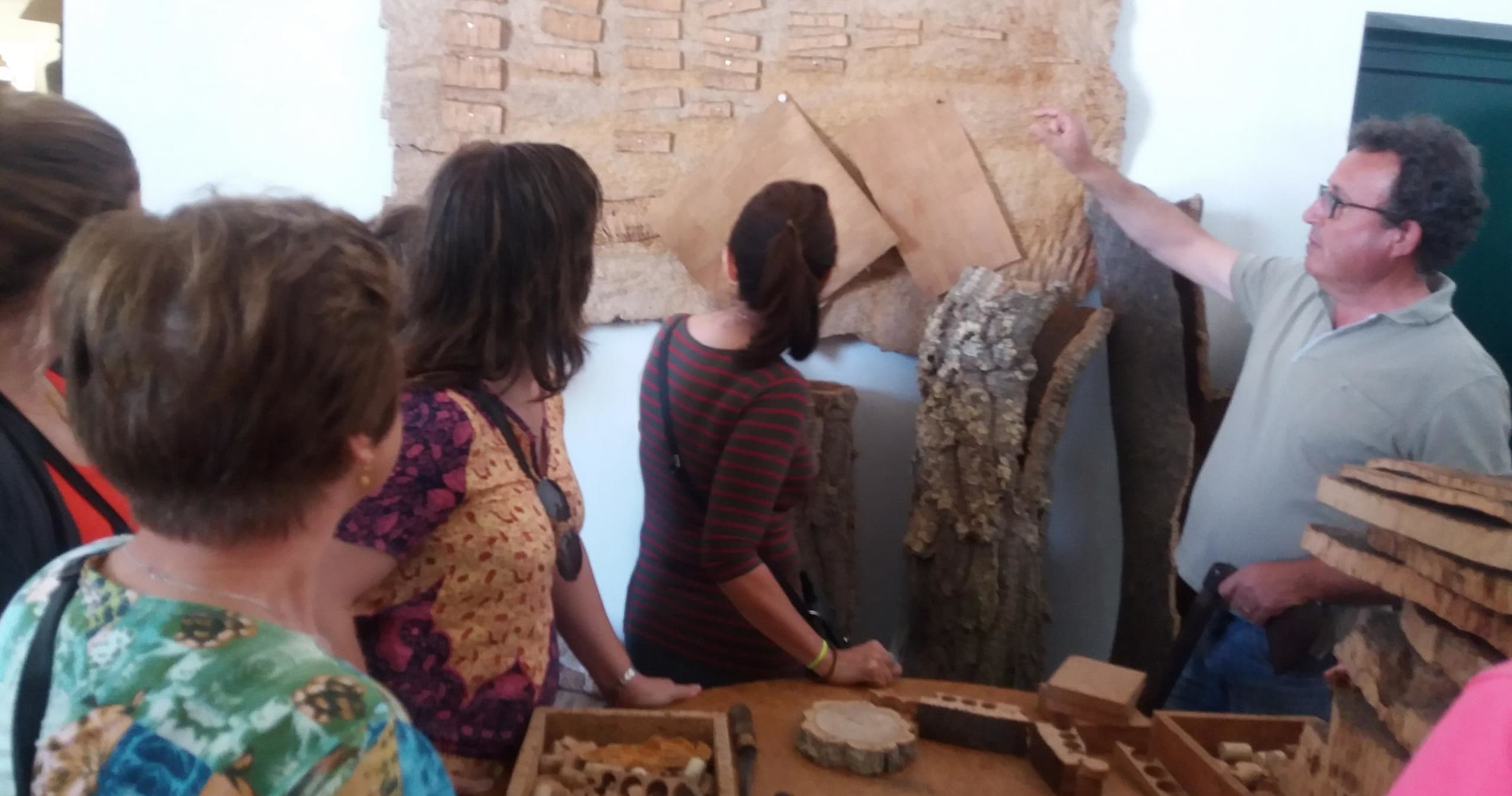Private Tour to Evora and Cork Experience