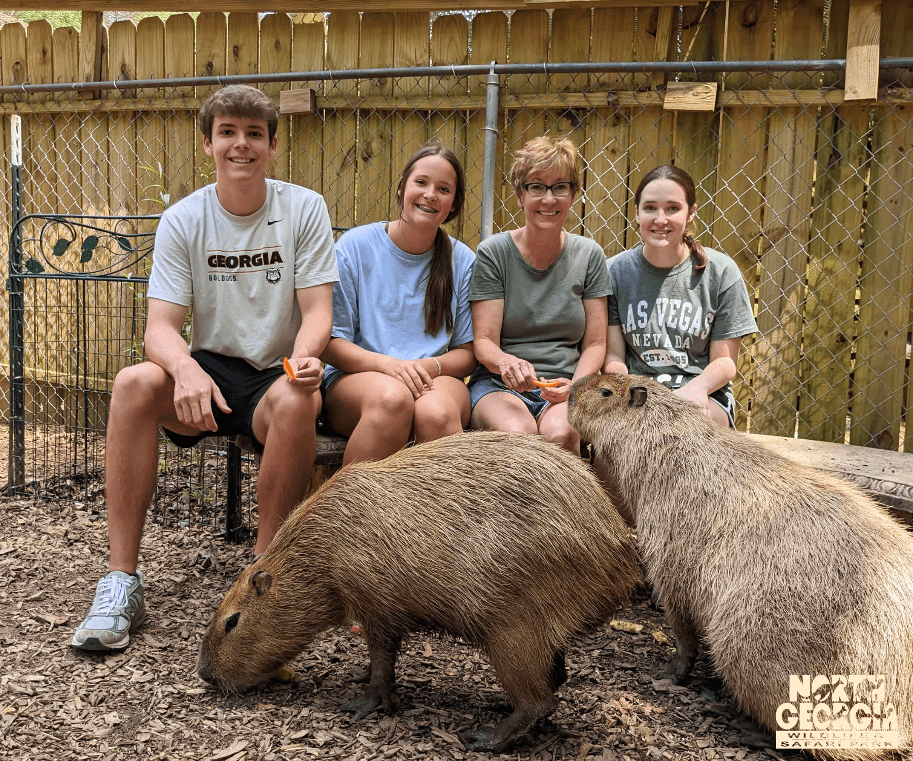 Capybara Experience