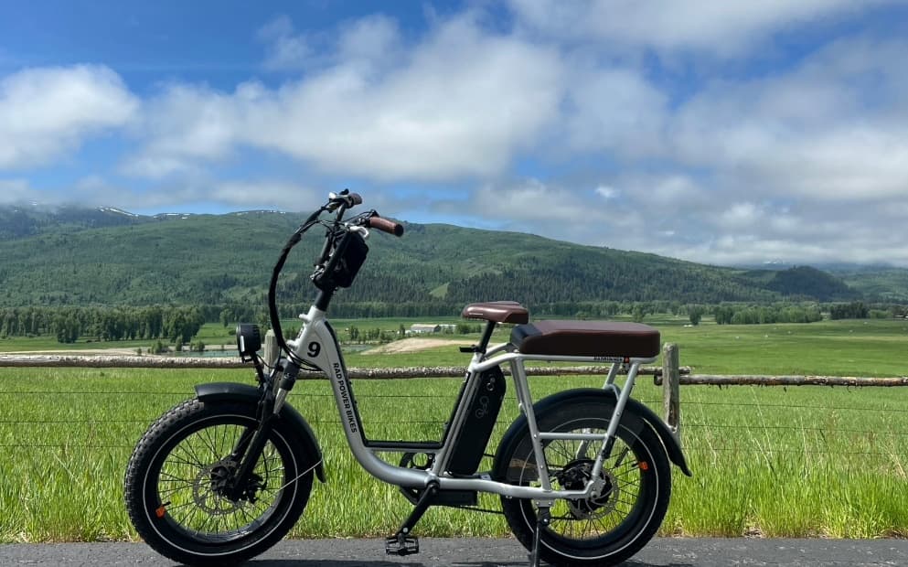 Rad Runner Plus Electric Utility Bike Rental with Throttle