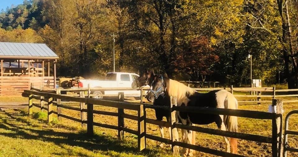Trail Barn Outside Stalls