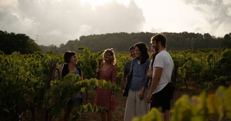 Barcelona Wine Tasting Tour
