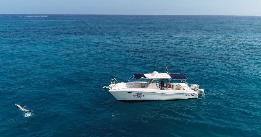 2 Tank Local Charter on the Honu Lele