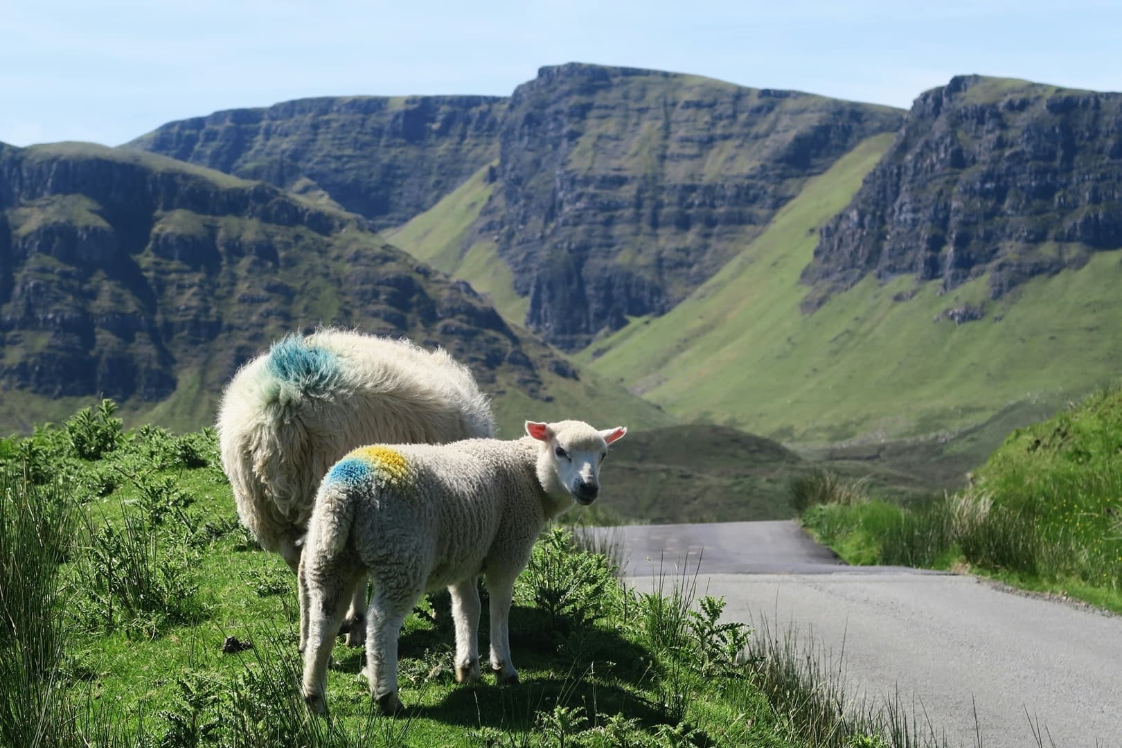 Highland Delights: Best of the Scottish Highlands
