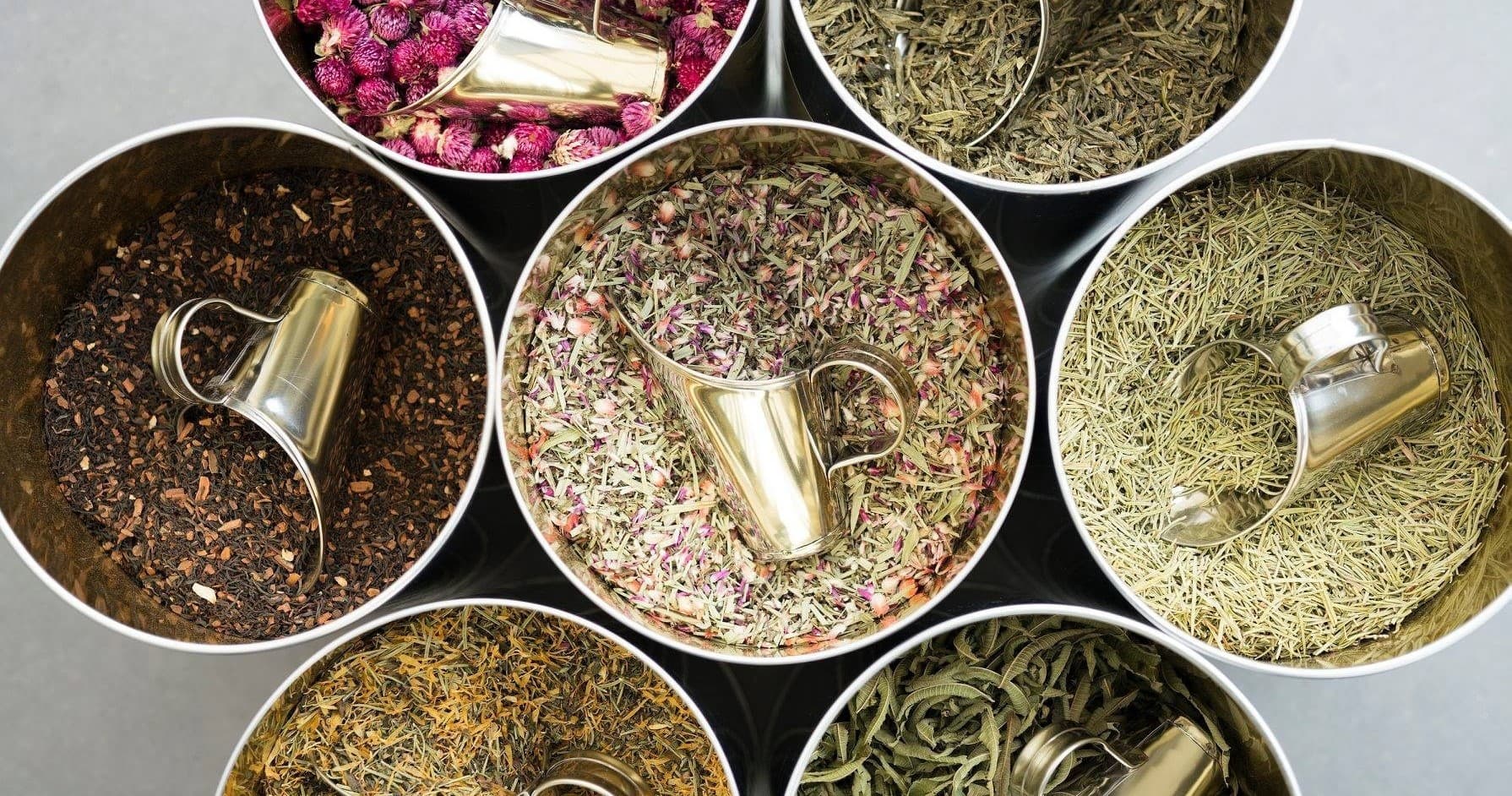 Medicinal Herbs Workshop