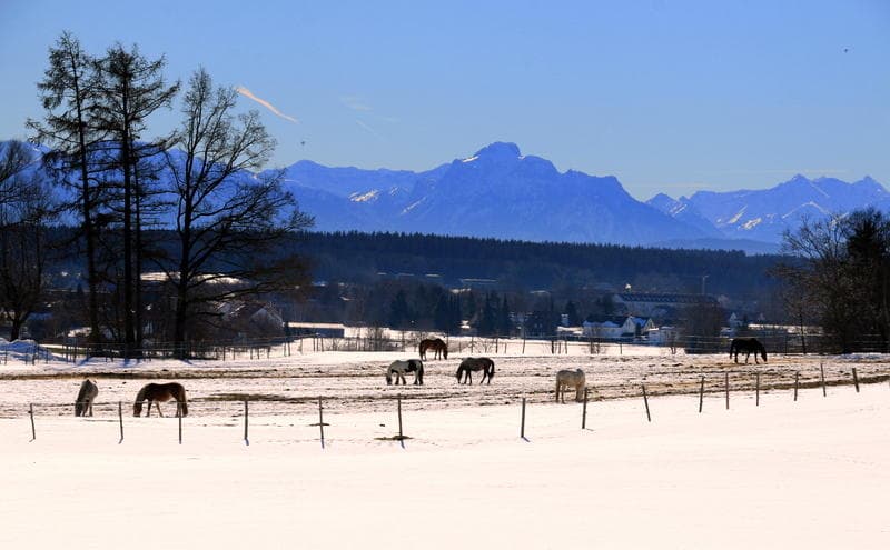 Pilgrim's Way to Kloster Irsee Beer Hike Food Experience - Private Tour