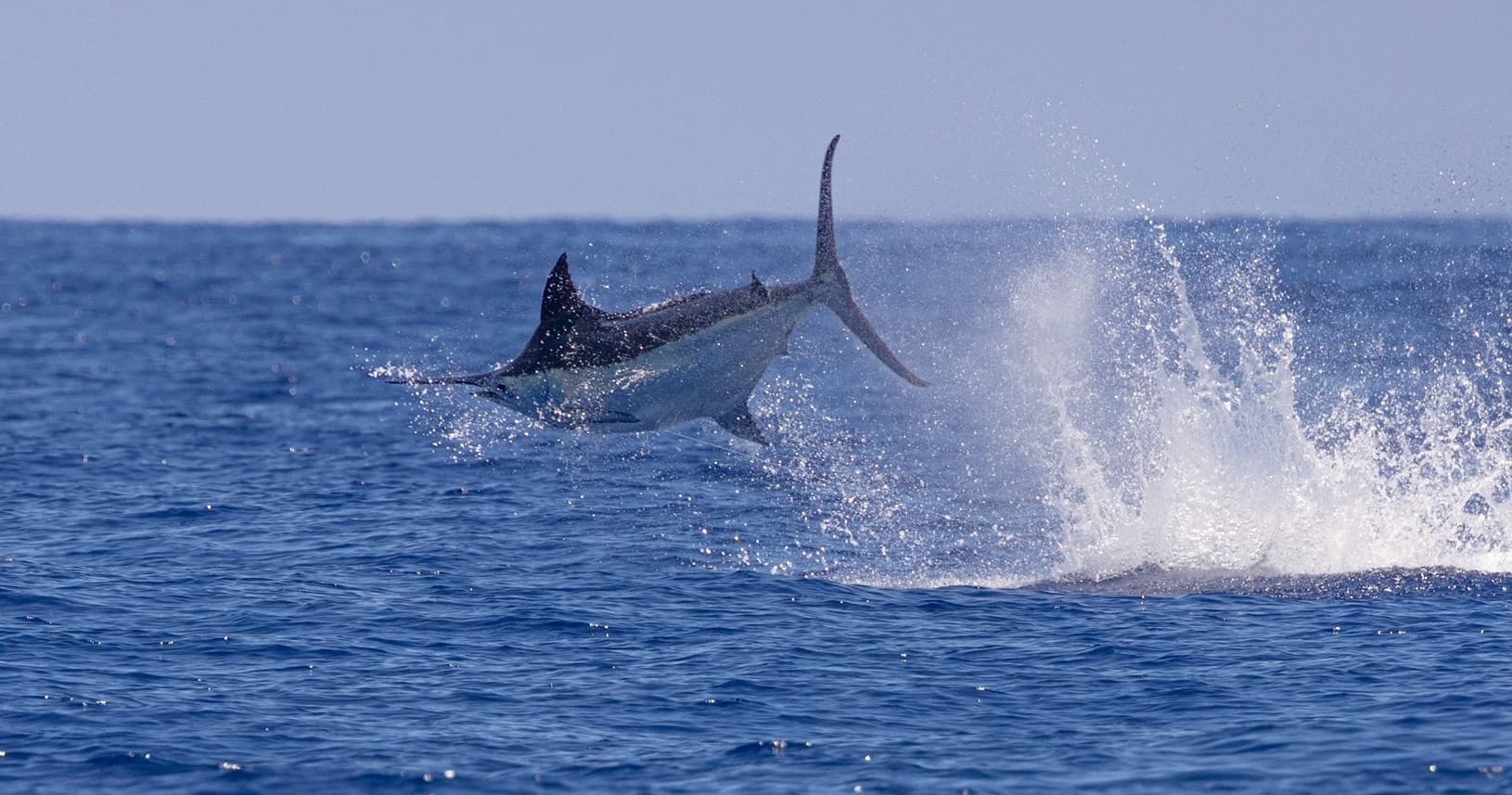3/4 Day Charter