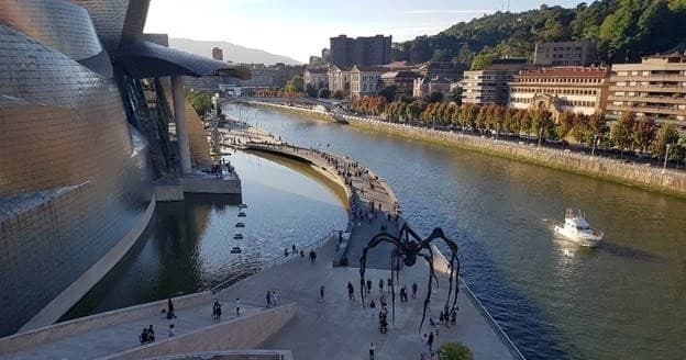 Visita guiada al museo Guggenheim Bilbao