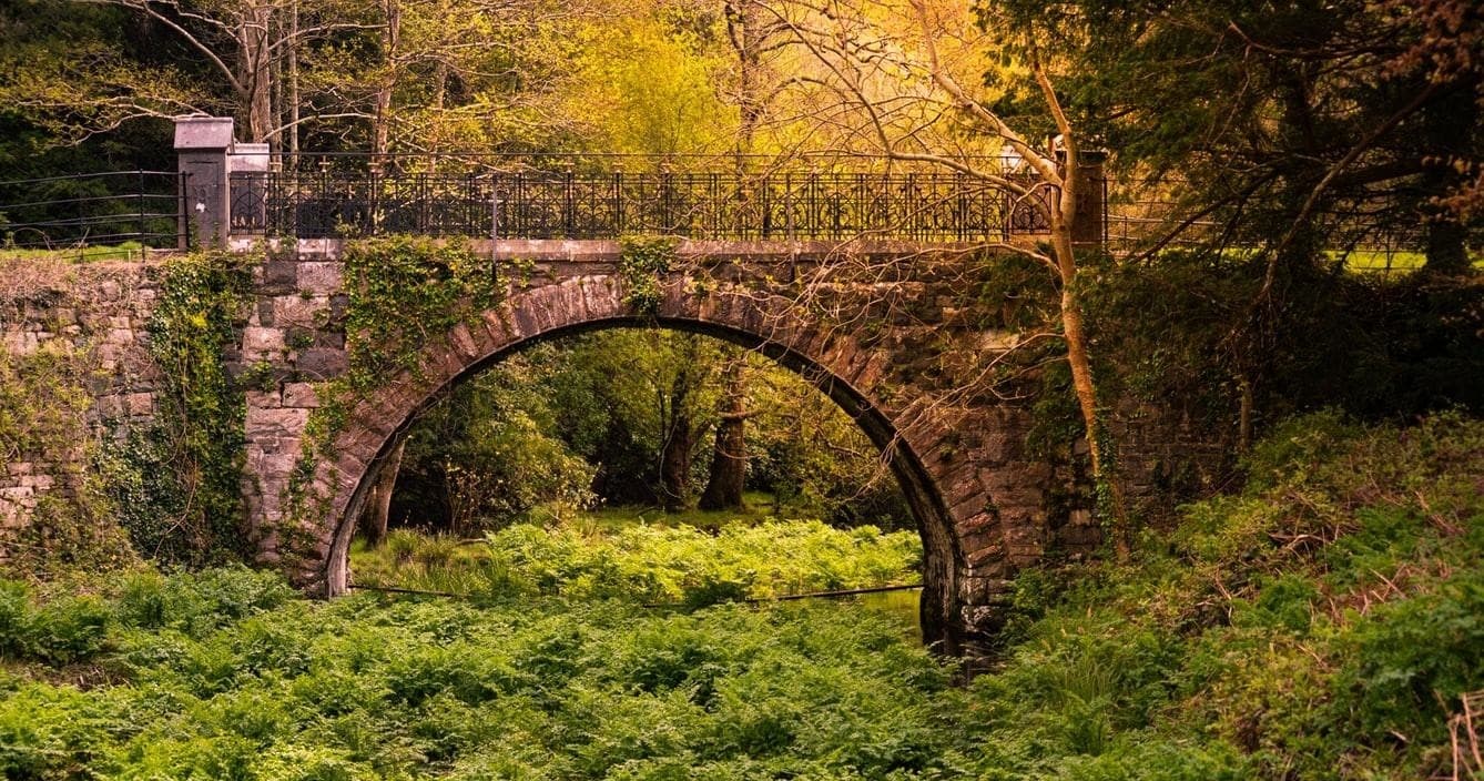 Killarney Castle, Lakes & Highlights: Scenic Carriage Ride & Walking Tour