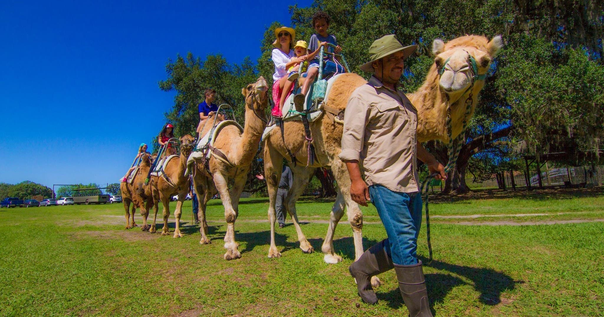 Camel Safari Tour