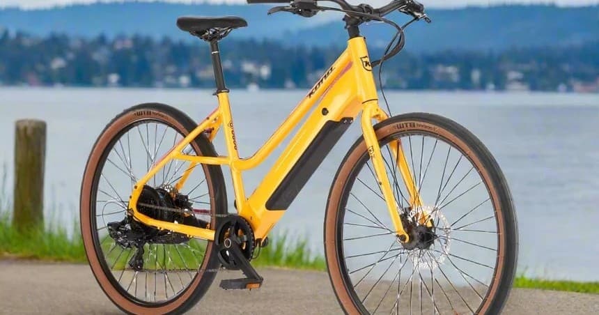 LARGE Kona Coco HD Electric Bike Rentals