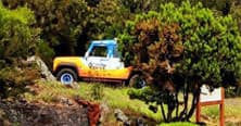 Half Day Private 4x4 Tour