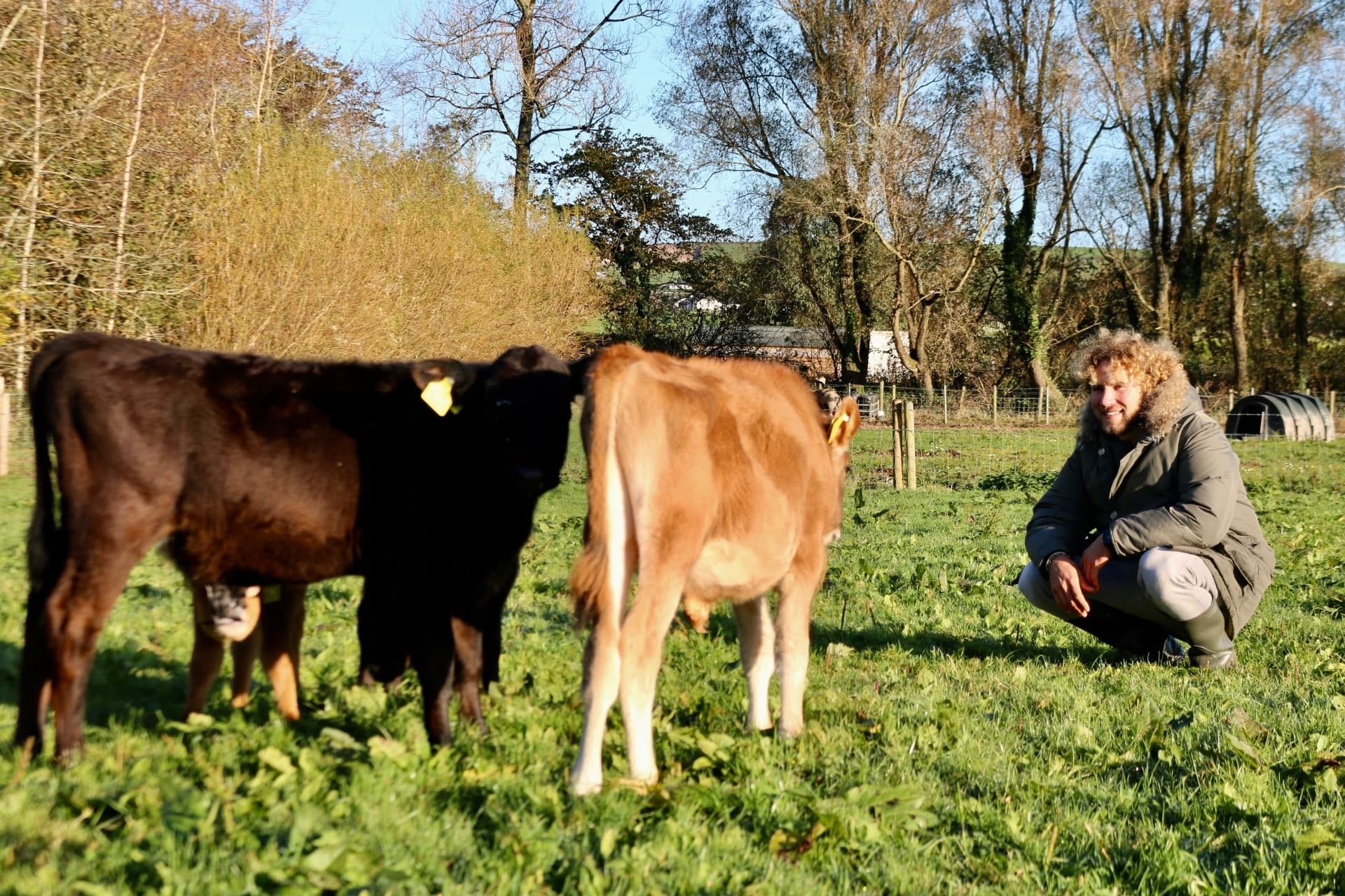 Self-Guided Tour Ballymaloe Cookery School Gardens & Farm Walk Cork