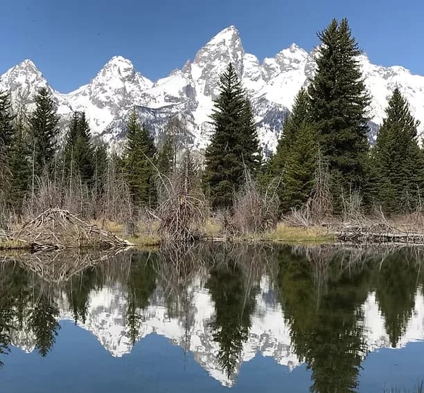 Grand Teton Day Tour