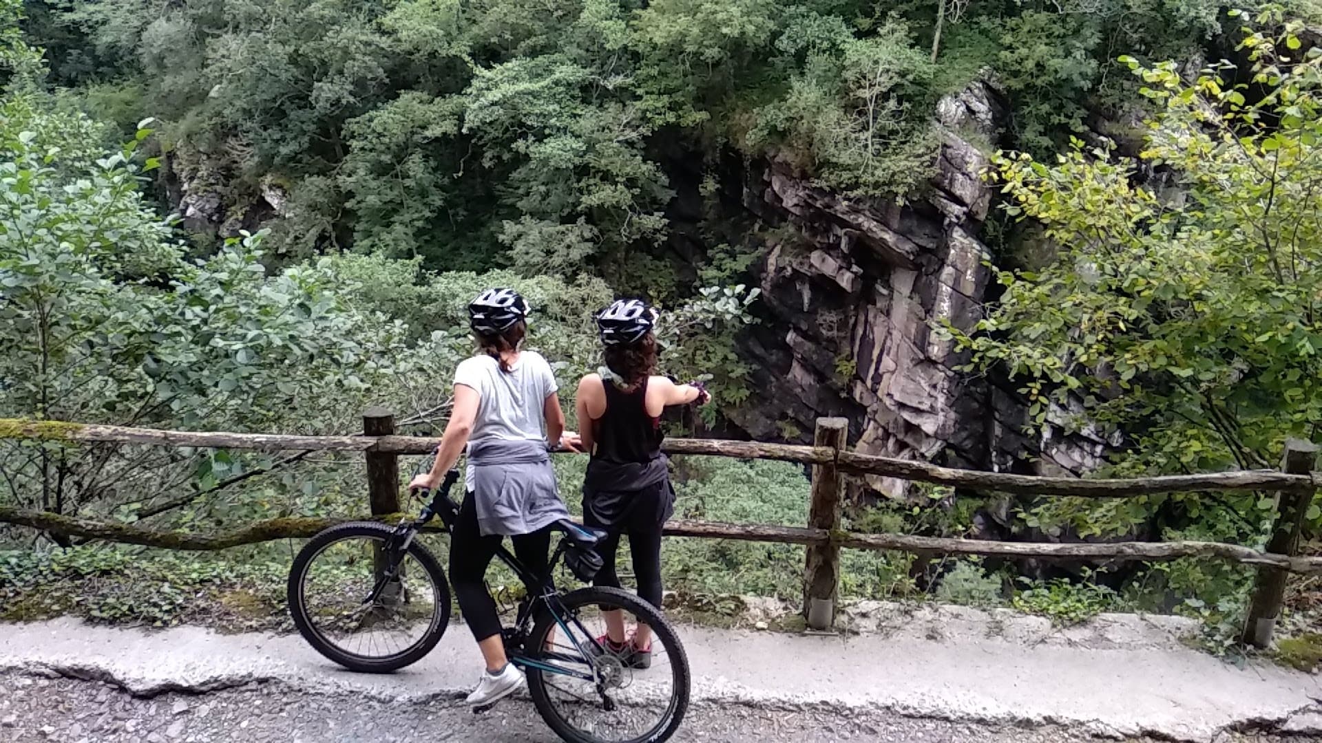 L • BTT Adultos