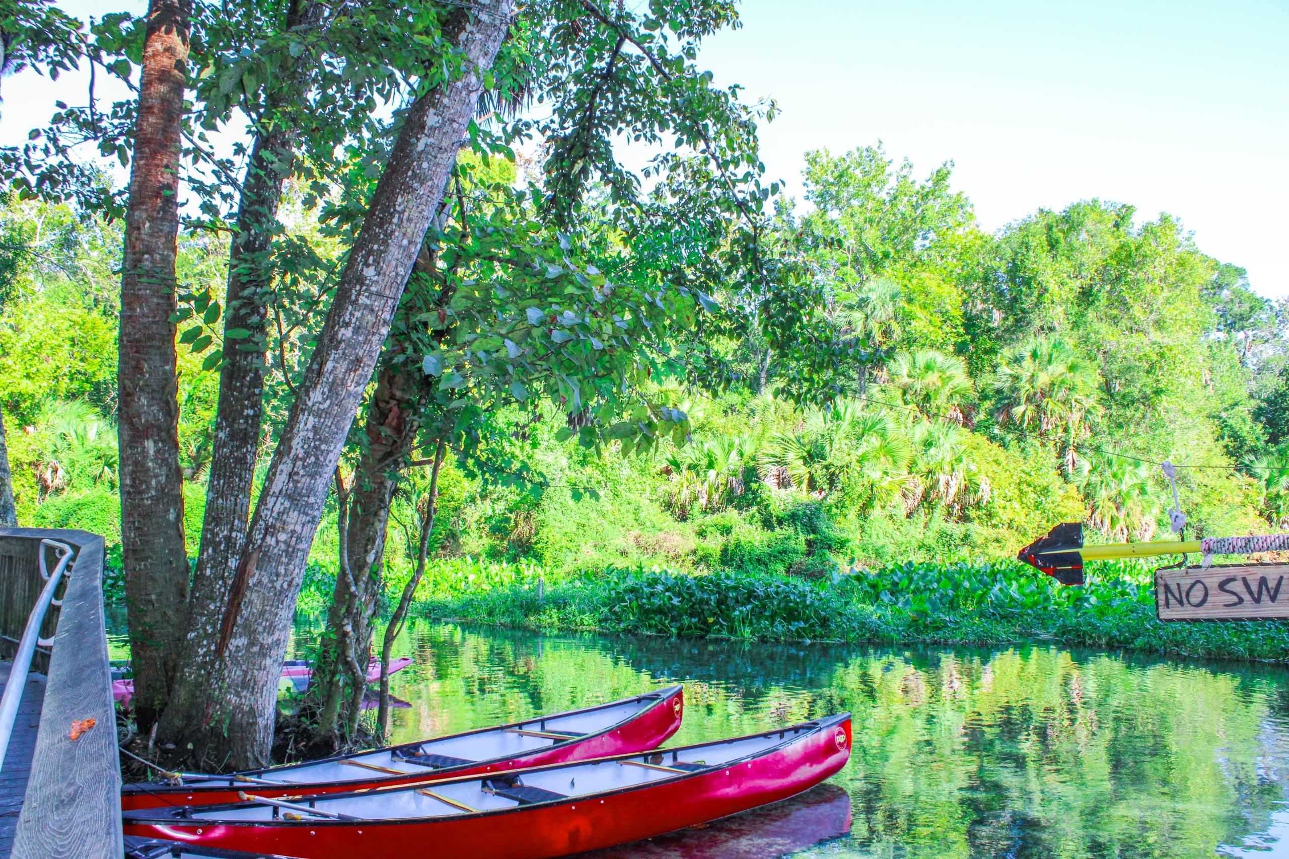 Canoe Rental