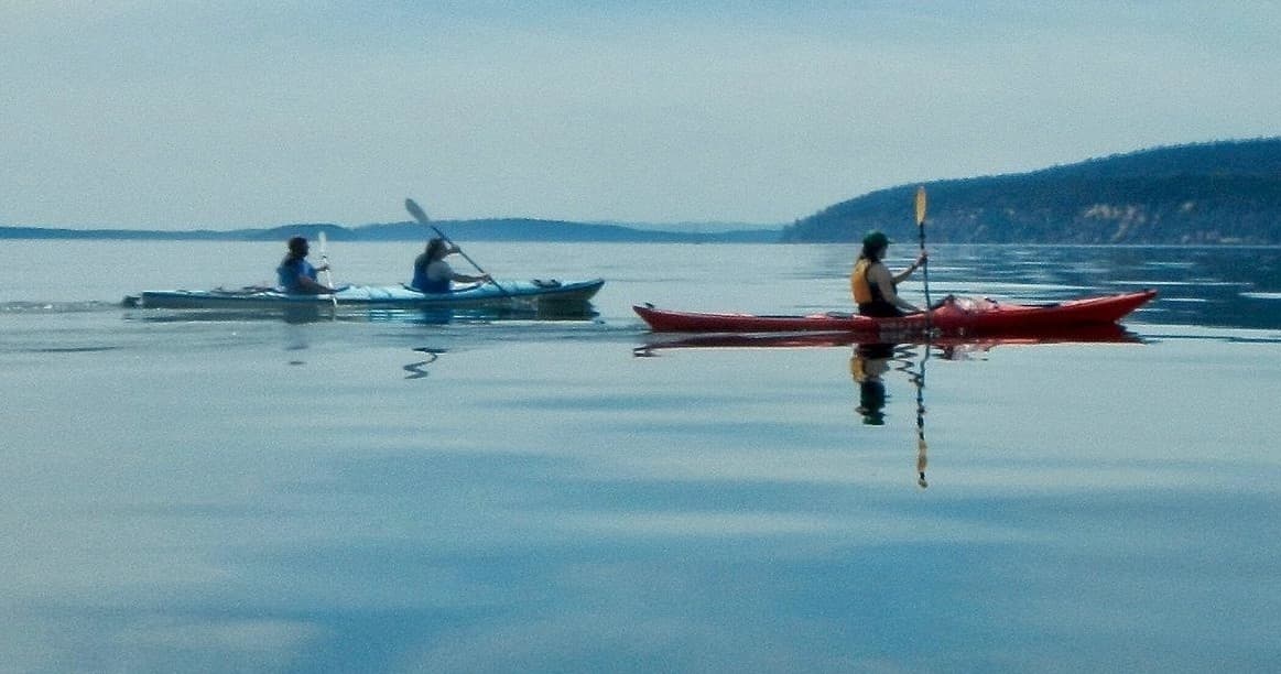 Paddle & Picnic