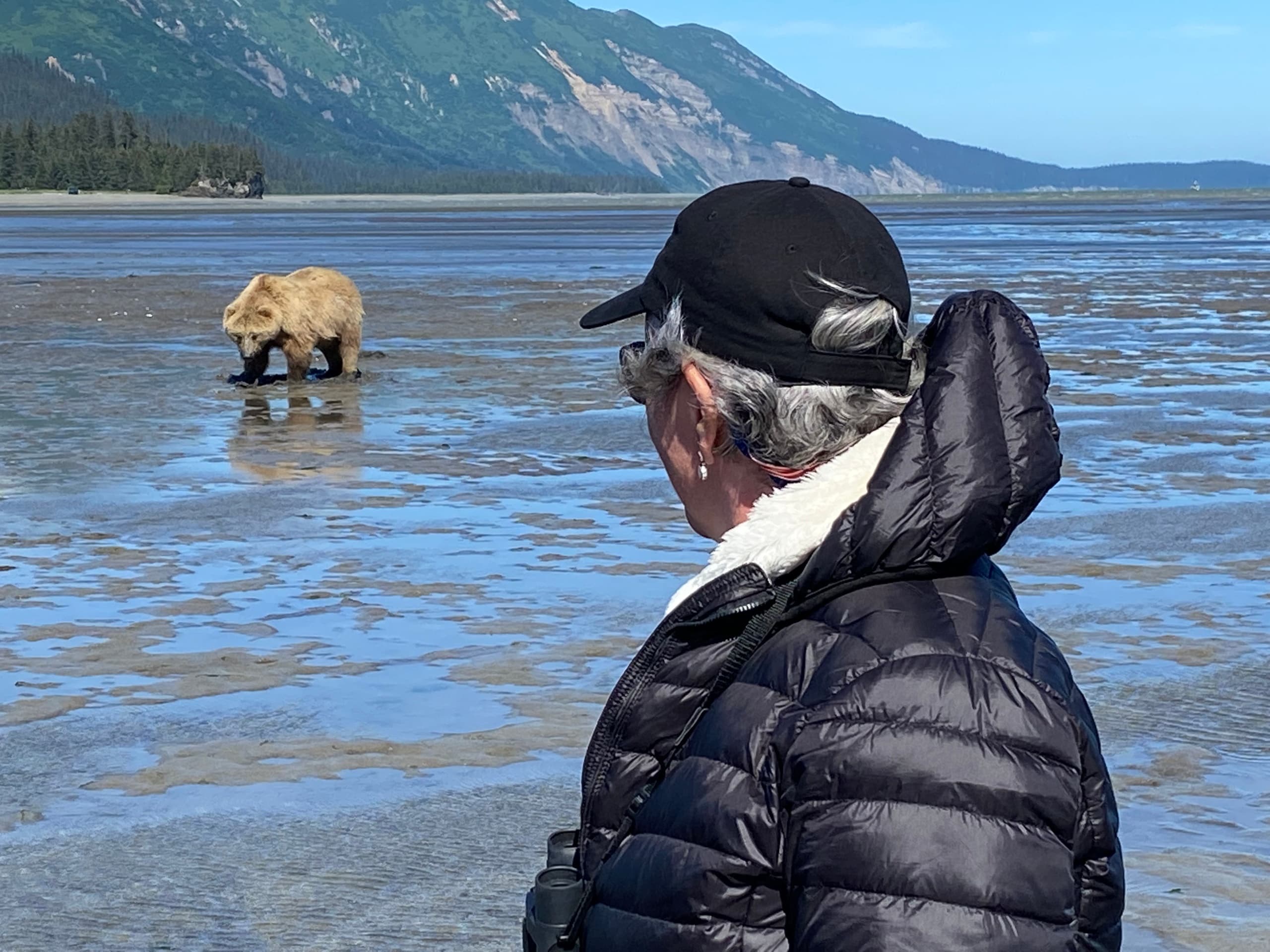 Lake Clark VIP Bear Viewing -  HOMER