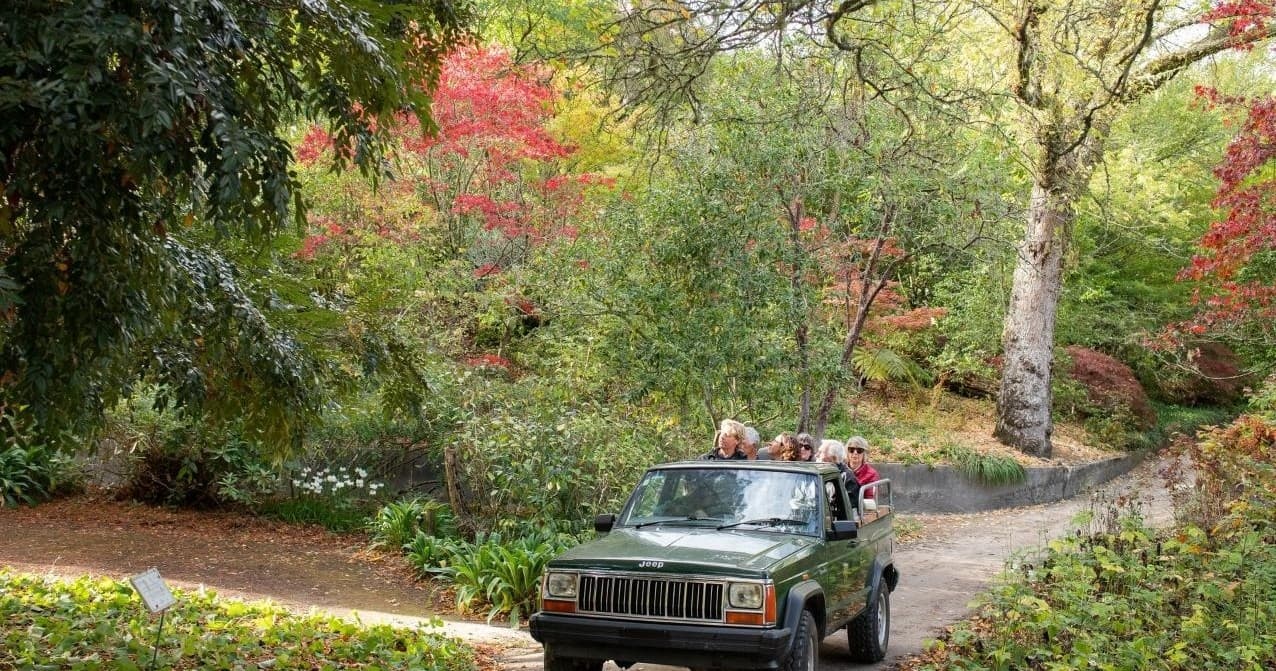 Rere Falls & Eastwoodhill Tour with Refreshments