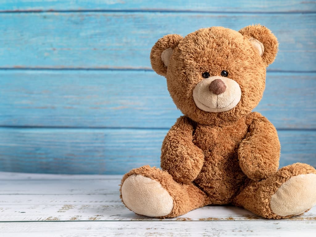Build-a-Buddy Kits