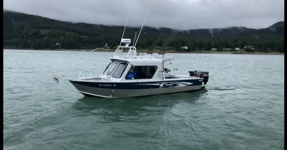 Water Taxi