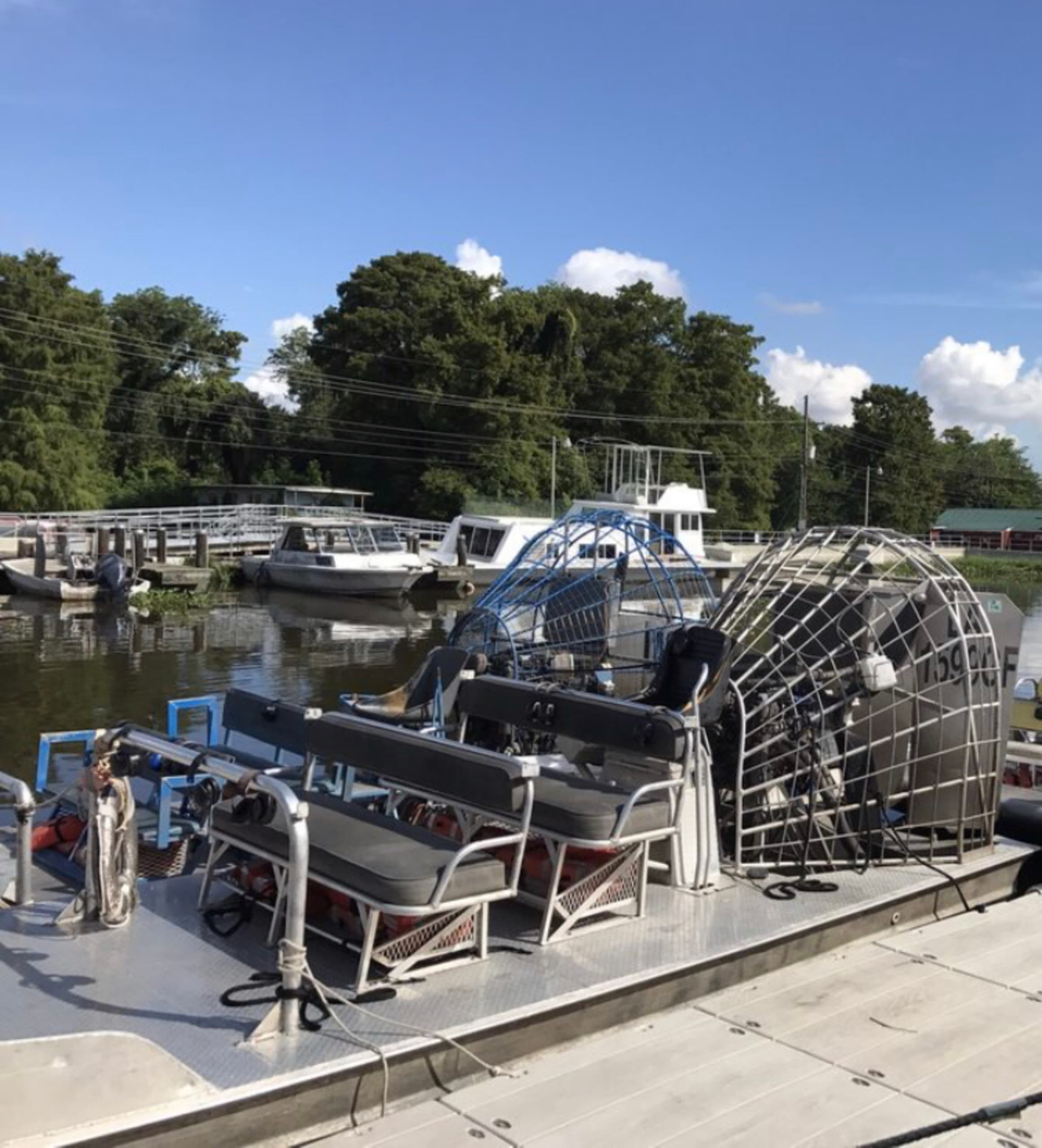 Small Airboat Swamp Tour